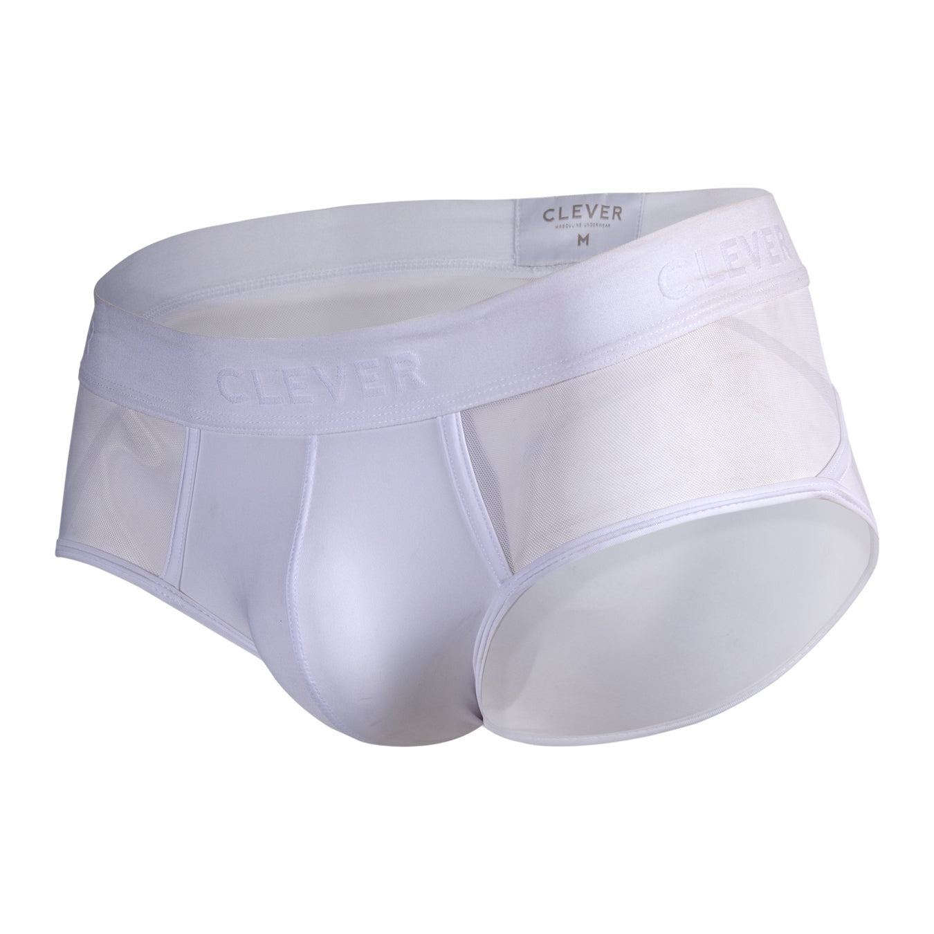 Caspian Piping Brief - CLEVER